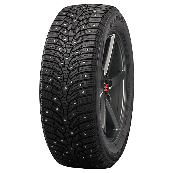 Nankang SW-9 255/45R19